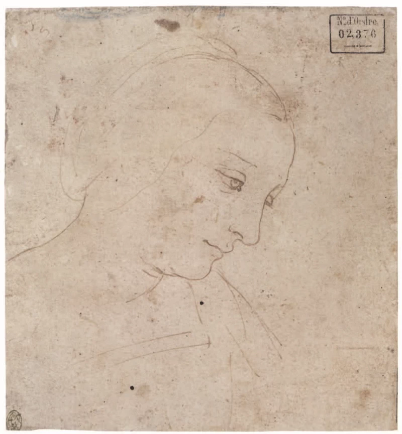 236-Testa di donna quasi di profilo - Museo del Louvre, Parigi